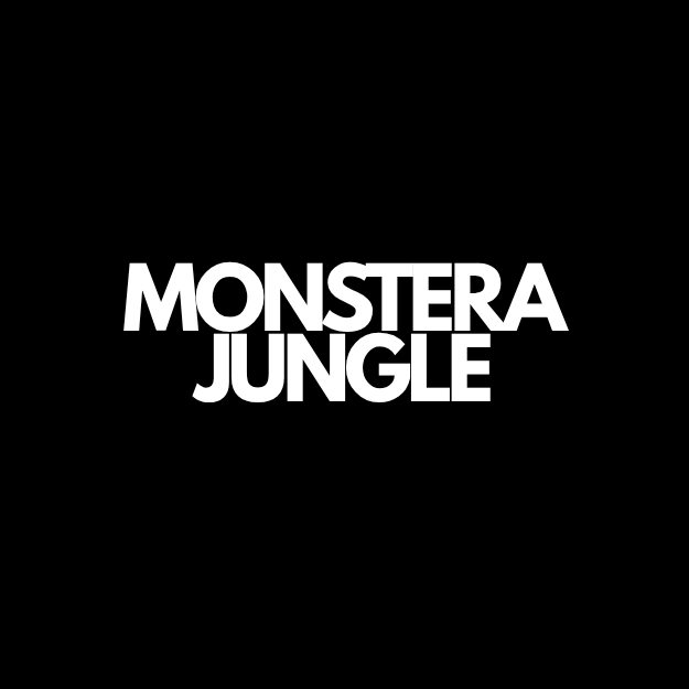 Monstera houseplants at Oh Shoot Plants