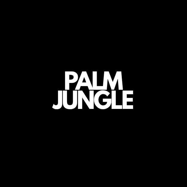 Indoor palm houseplants at Oh Shoot Plants