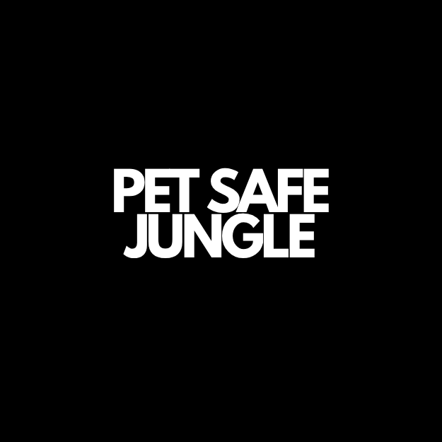 Pet Safe Jungle | Pet Friendly Houseplants