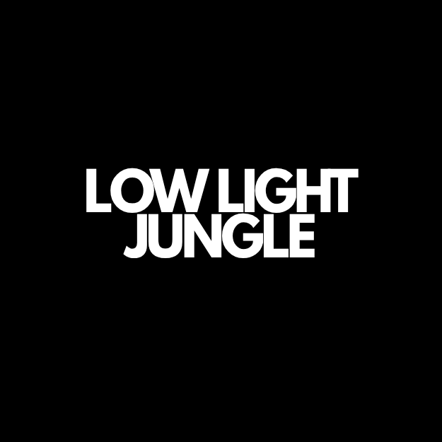Low Light Jungle | Low Light Tolerant Houseplants