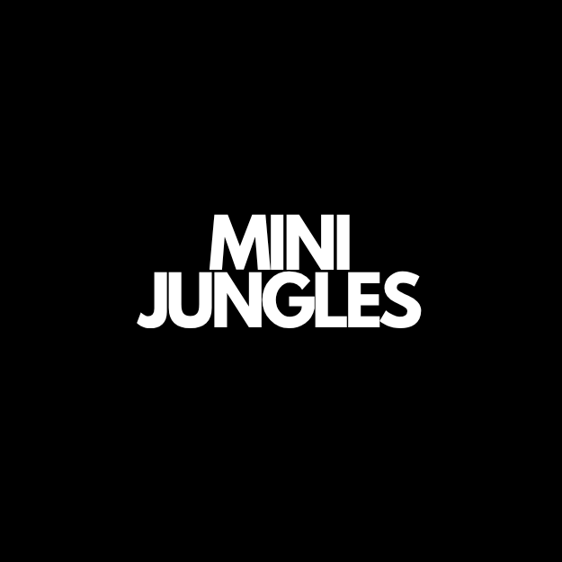 Mini Jungles | Living Plant Arrangements