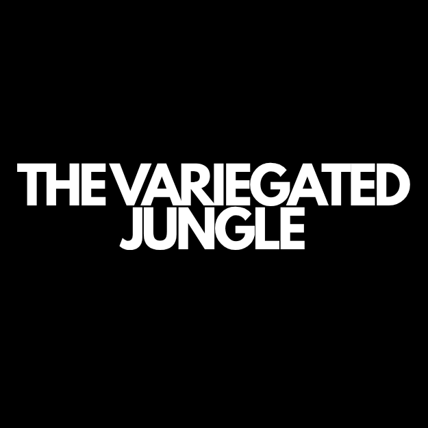 Variegated Jungle | Variegated Houseplants
