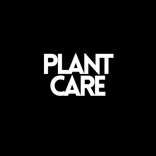Plant Care