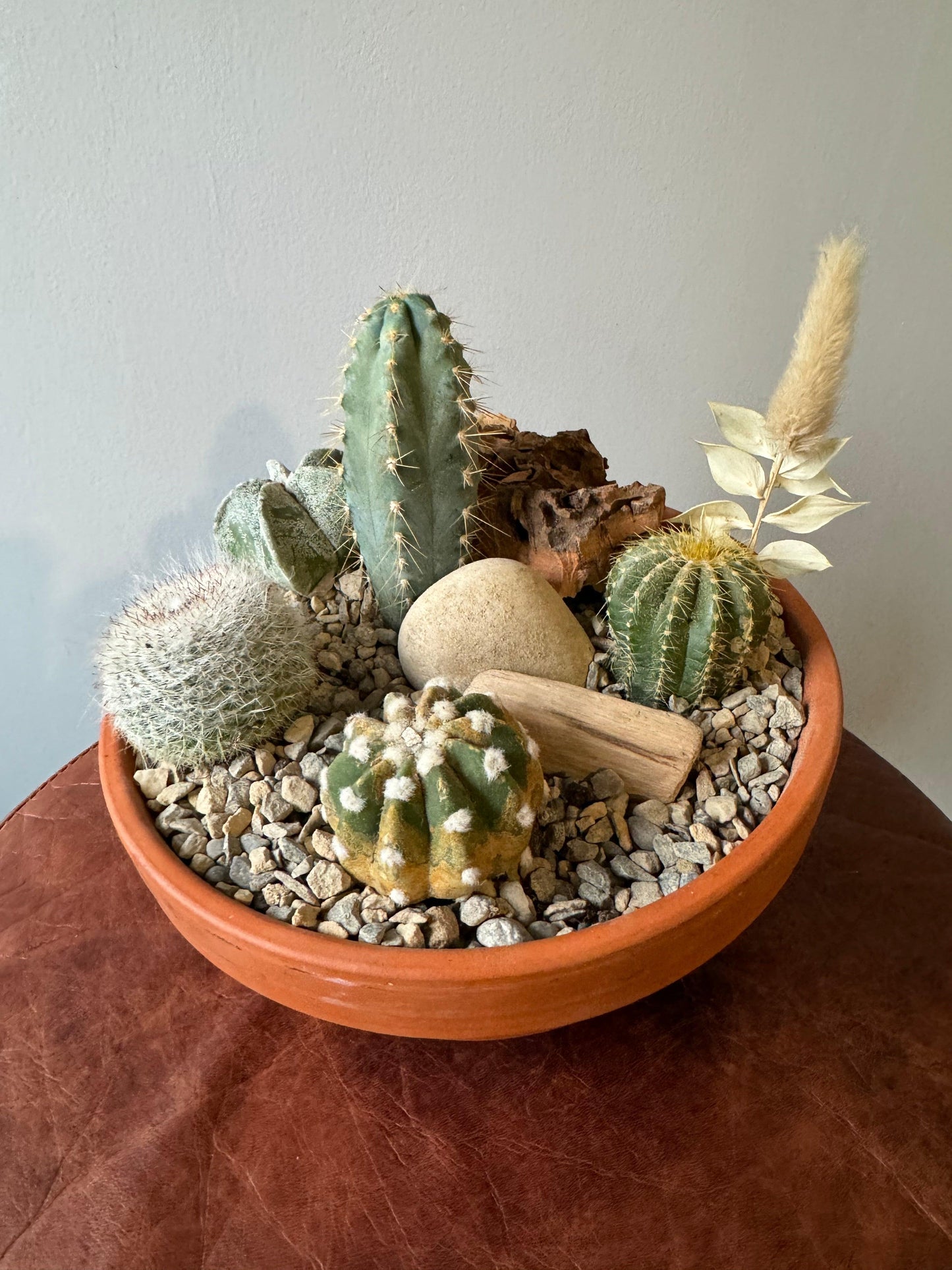 Medium Cactus Garden In Terracotta Pot - Oh Shoot! Plants