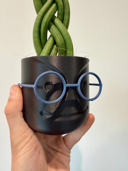 Braided Snake Plant - Sanseviera Cylindrica Braided