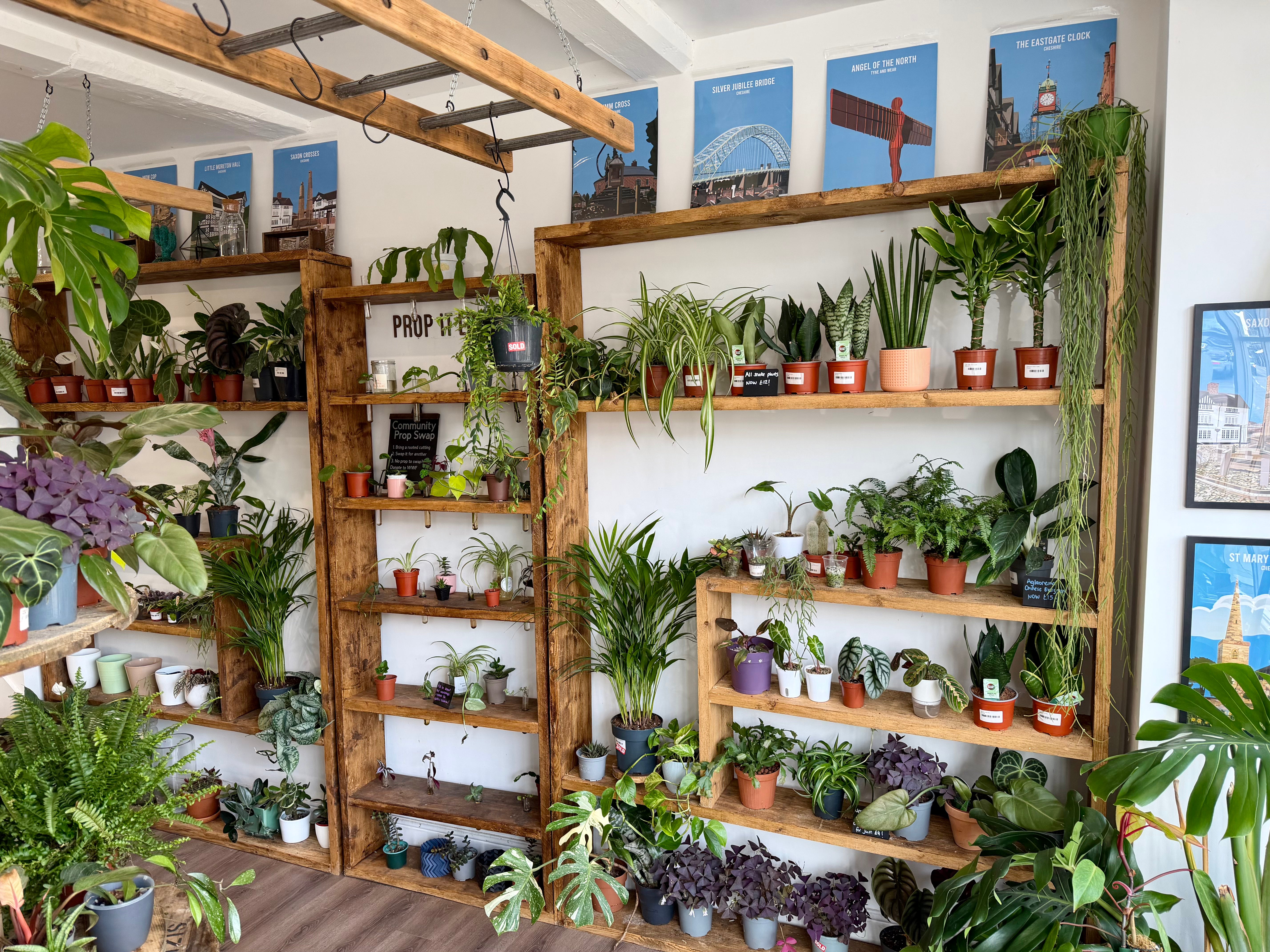 Community plant swap at Oh Shoot Plants