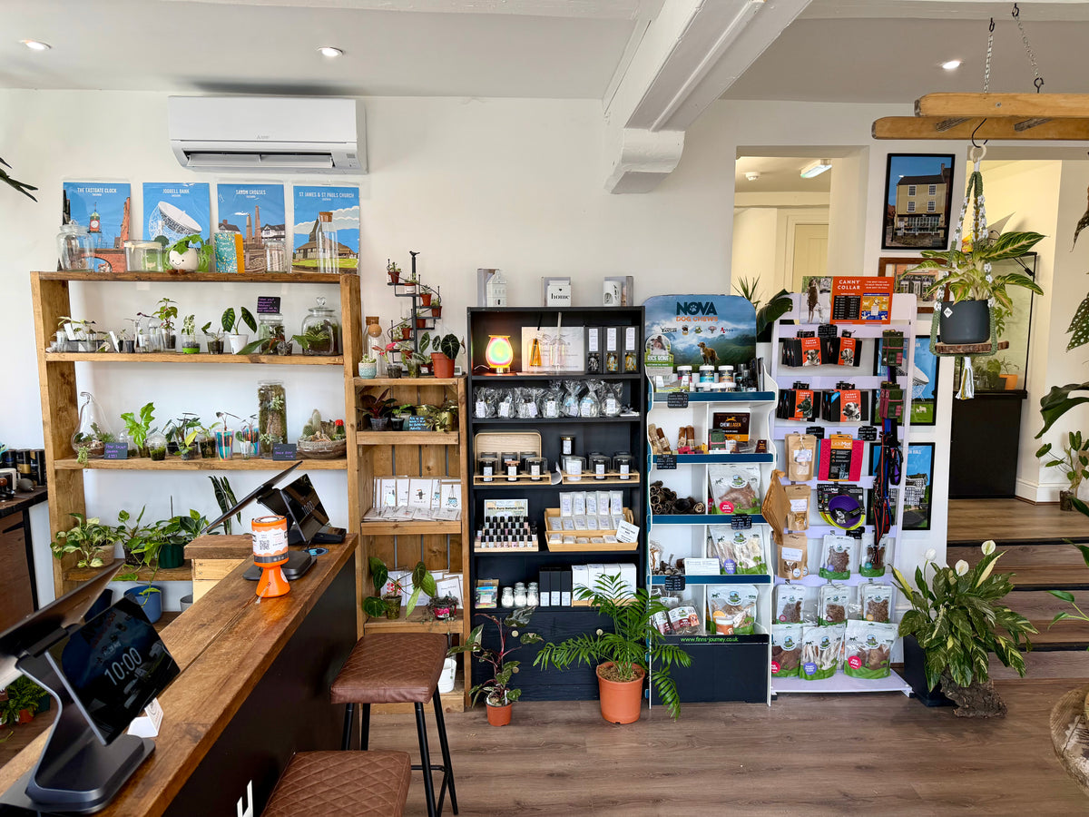 The Jungle at Oh Shoot Plants