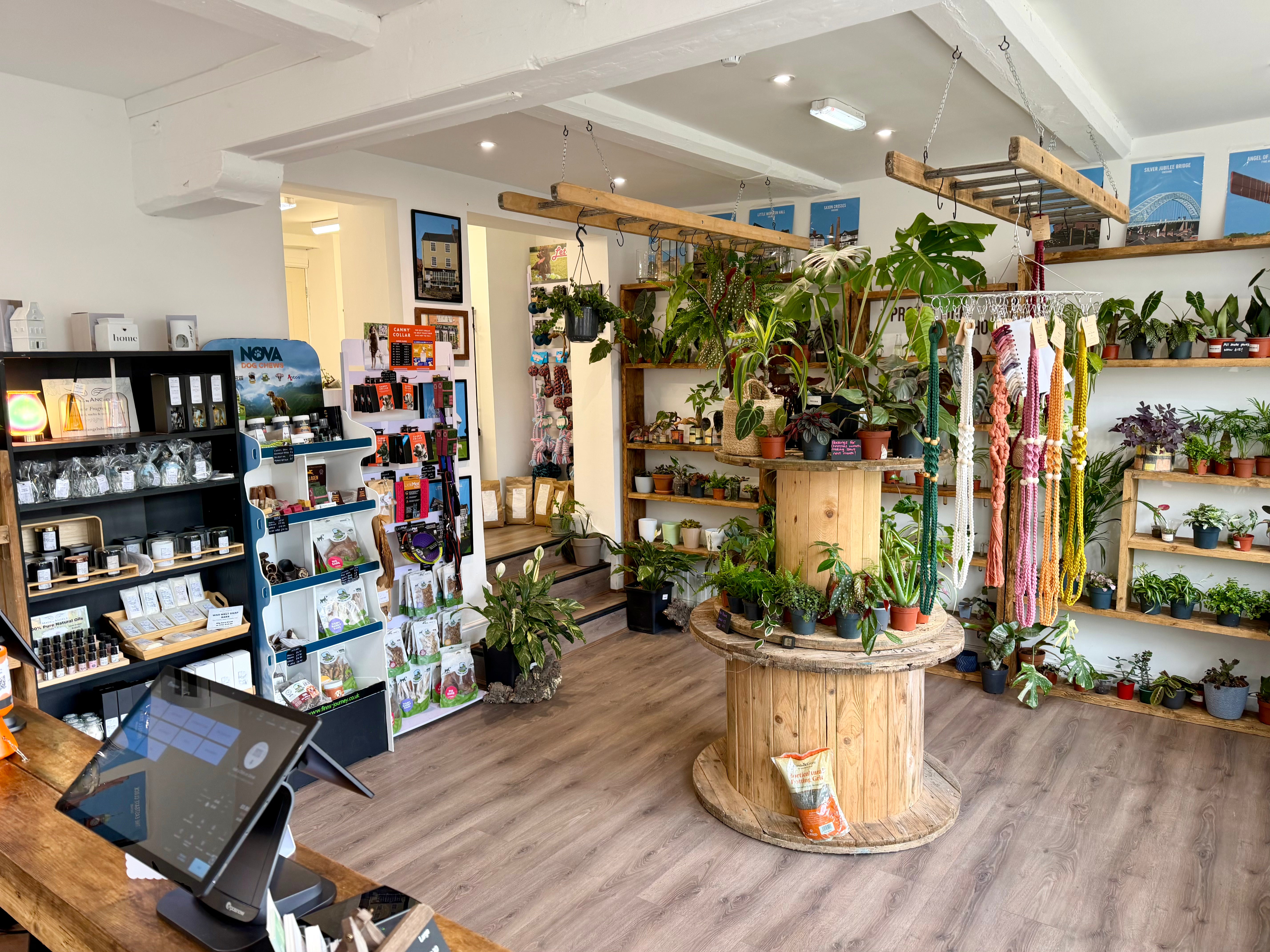 Oh Shoot Plants and independent business partnerships