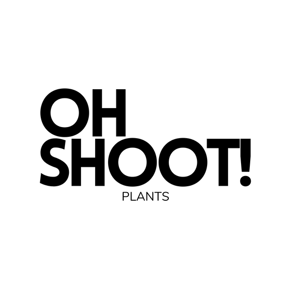 Oh Shoot! Plants