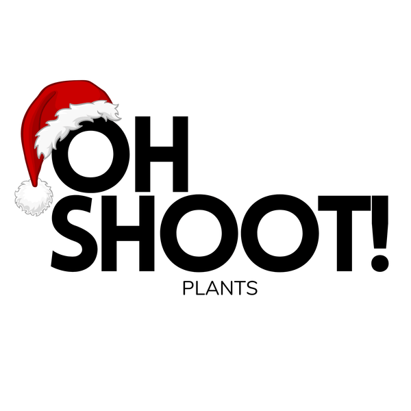 Oh Shoot! Plants