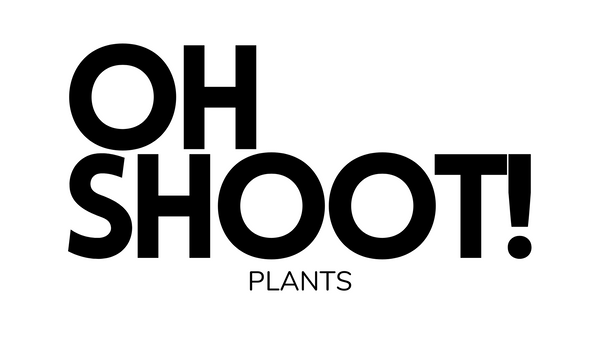 Oh Shoot! Plants - @ohshootplants