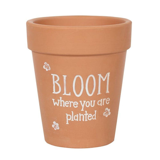 Bloom Where You Are Planted Terracotta Plant Pot 17cm - Oh Shoot! Plants