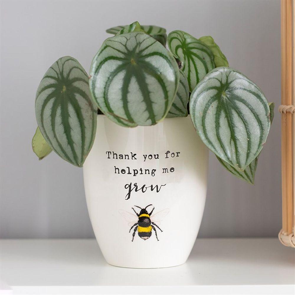 Thank You For Helping Me Grow Ceramic Plant Pot - Oh Shoot! Plants