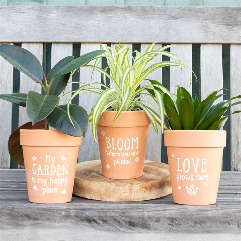 My Garden Is My Happy Place Terracotta Plant Pot - Oh Shoot! Plants