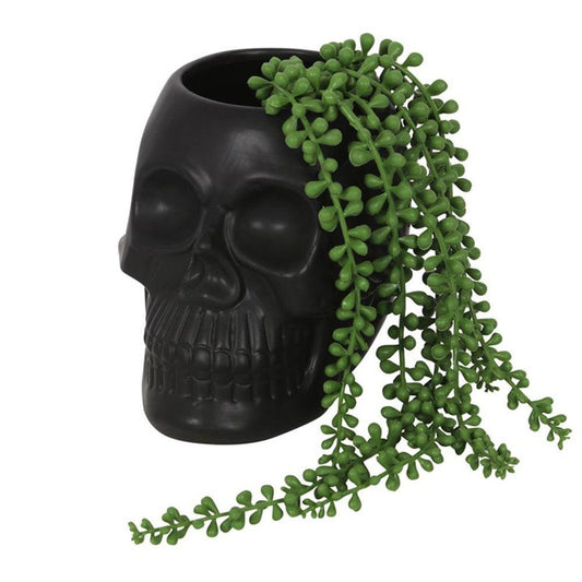 Black Skull Plant Pot 14.5cm - Oh Shoot! Plants