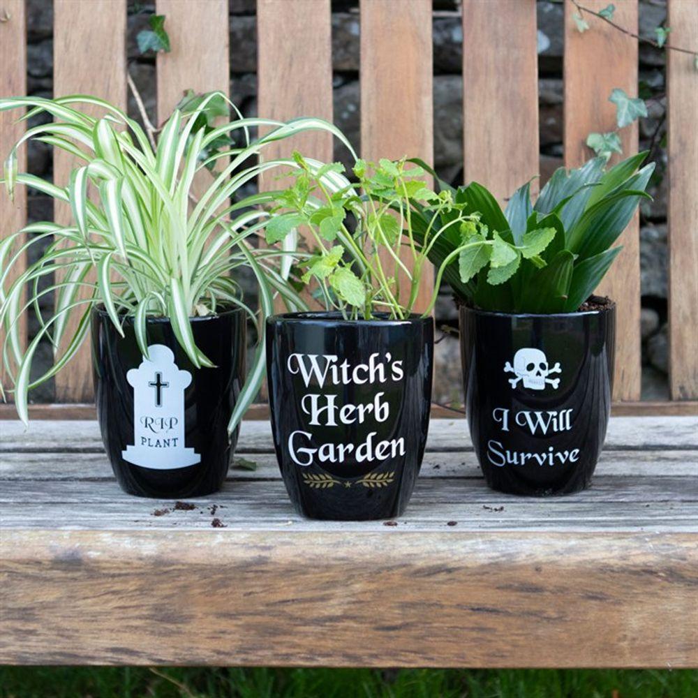 I Will Survive Gothic Ceramic Plant Pot - Oh Shoot! Plants