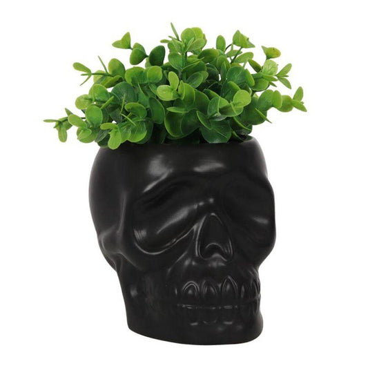 Black Skull Plant Pot 12cm - Oh Shoot! Plants